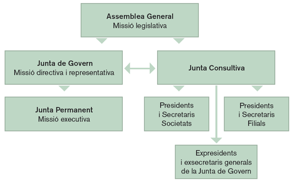 Òrgans de govern