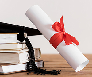 Beques de Recerca de l'Acadèmia